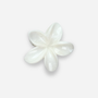 FLEUR.